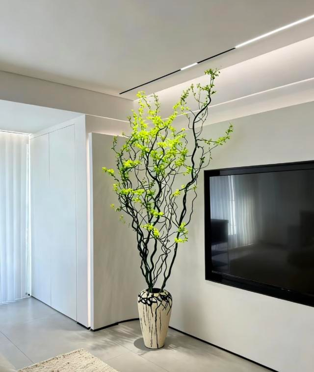 Suitable for indoor plant cultivation