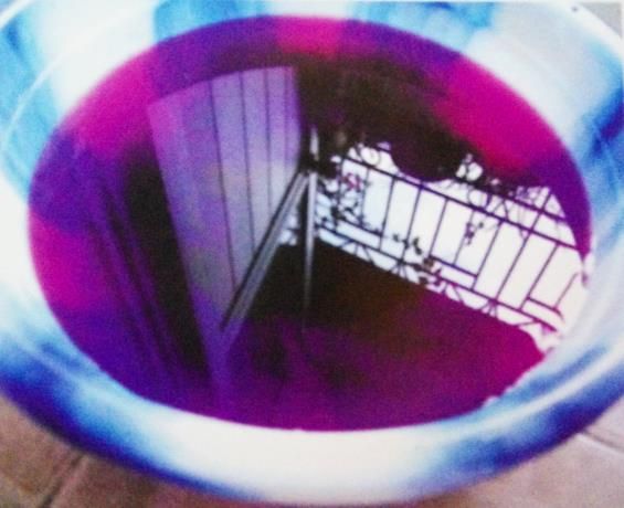 丛生苗木种植技术