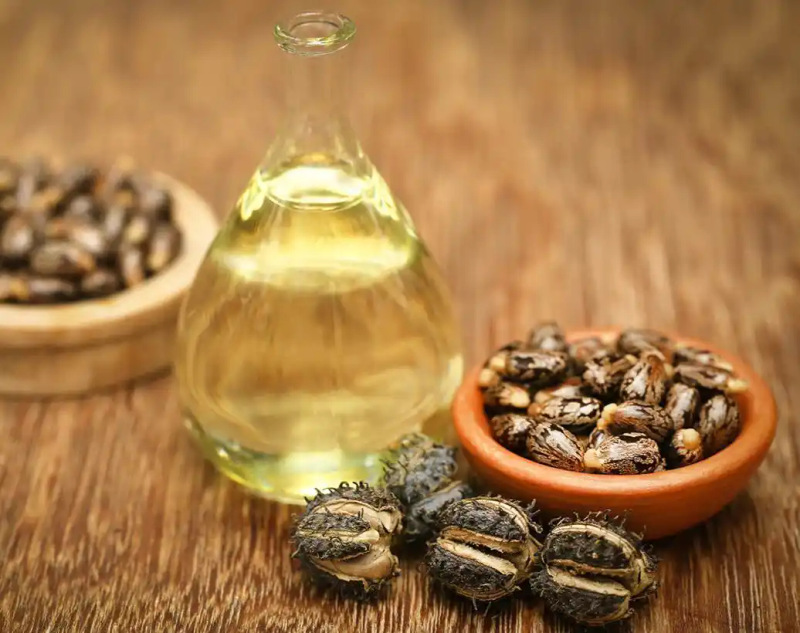 热带蓖麻种植技术