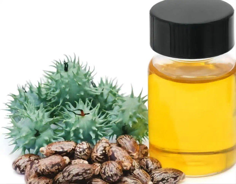 热带蓖麻种植技术