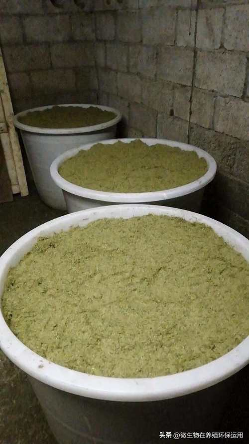 Lemon farming techniques