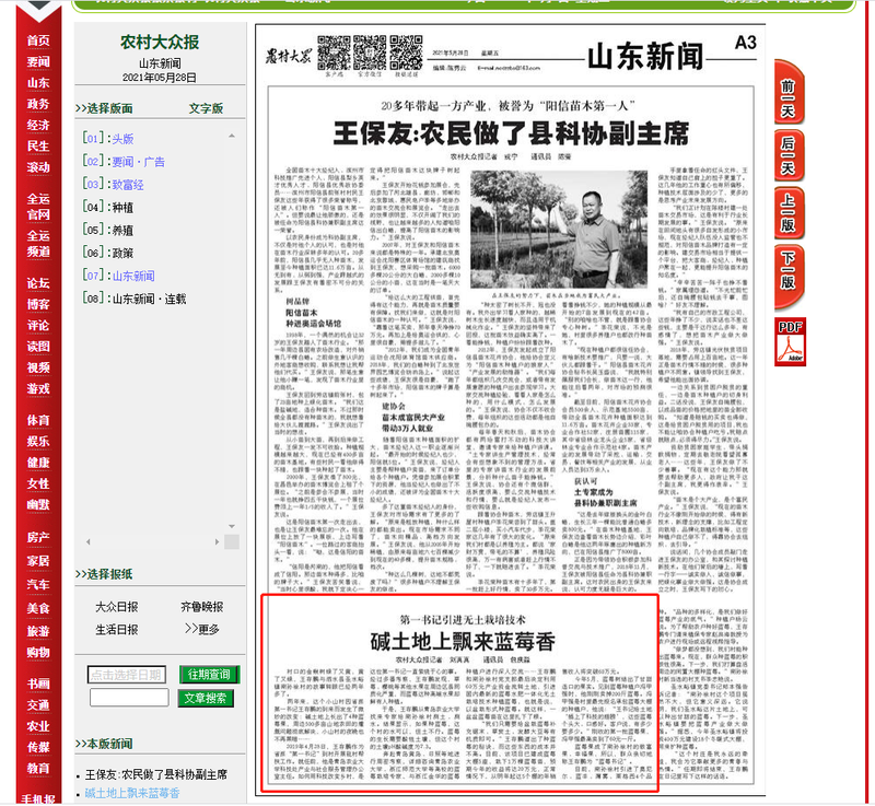 盆栽蓝莓种植技术