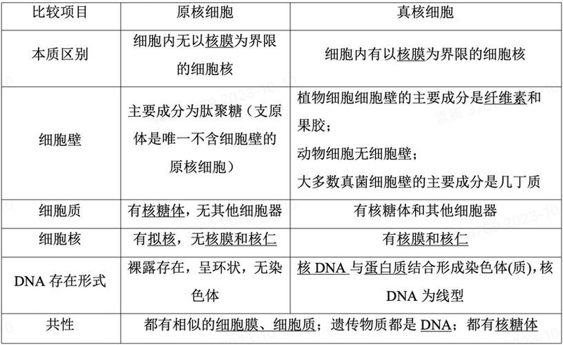 原核细胞dna复制的特点