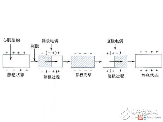 Ecg heart rate calculation