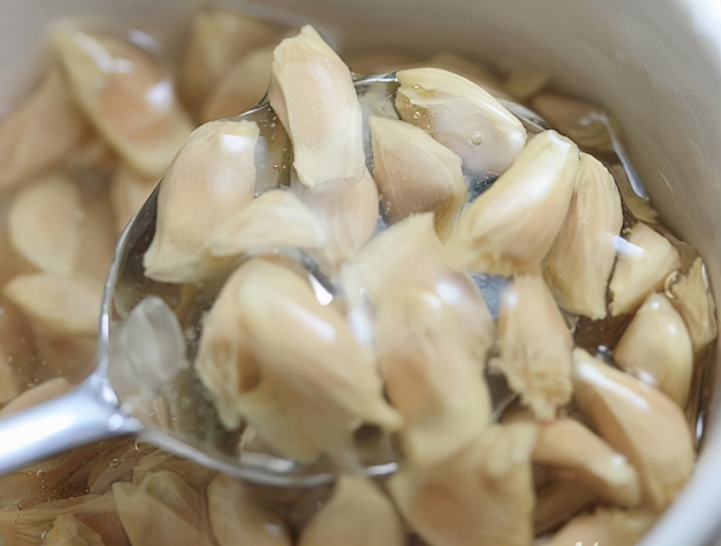 Orange seed plant cultivation methods