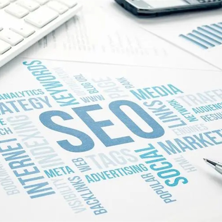 大连seo网站排名优化