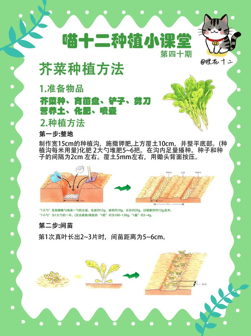 早春空心菜种植技术