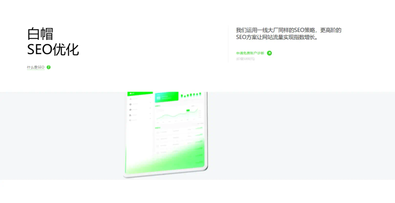 广州seo优化公司哪家专业