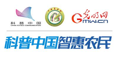 Greenhouse farming techniques