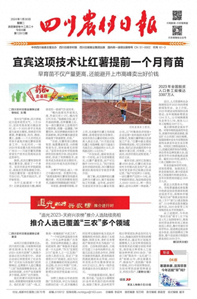 大棚红薯种植技术视频