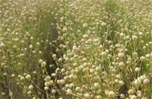 Submerging techniques