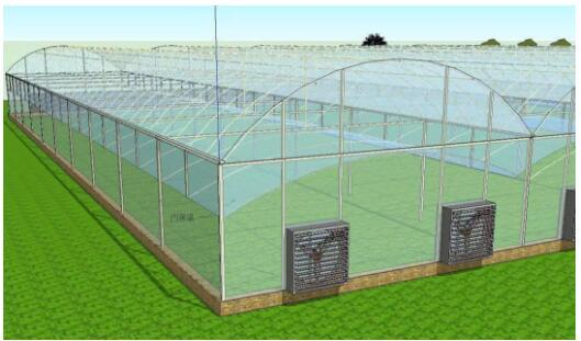 温室种植技术