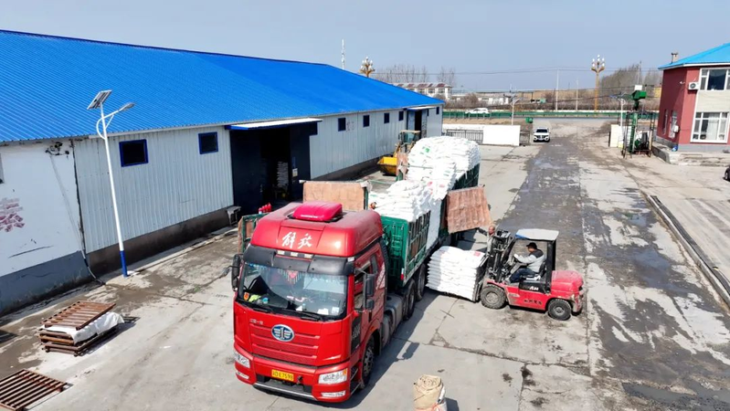 吉林省长岭县可以种植那些果树