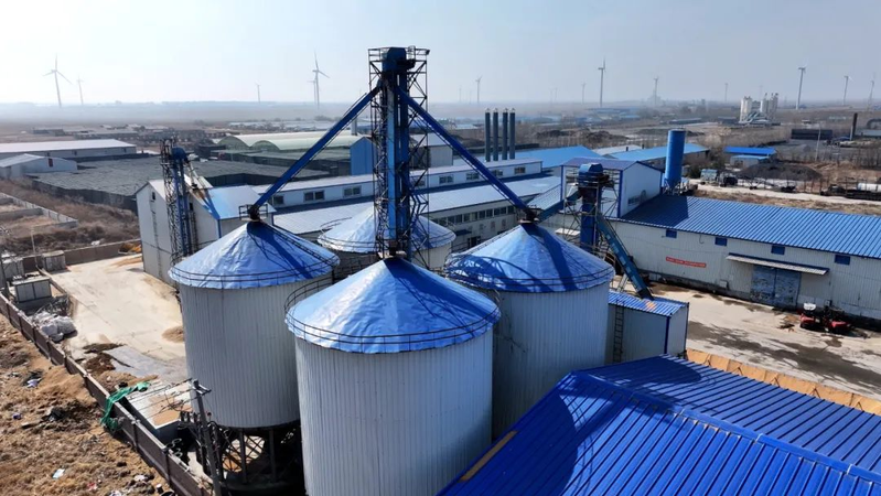 吉林省长岭县可以种植那些果树