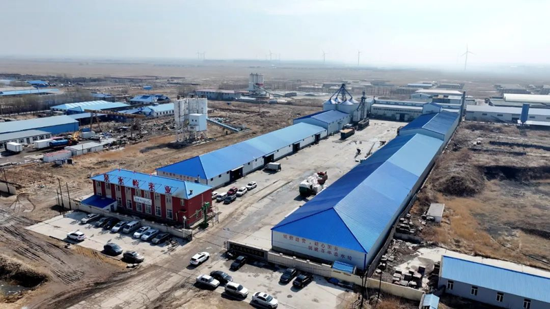 吉林省长岭县可以种植那些果树