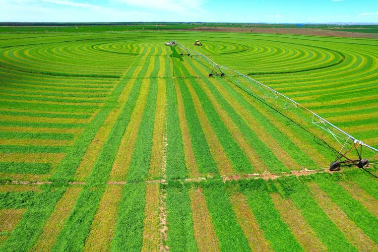 Mixing wolf tailings cultivation techniques