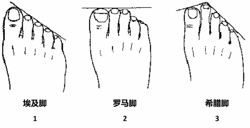 羽毛球拍价格一般多少
