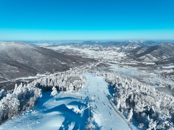 Governor gillin can grow those fruit trees