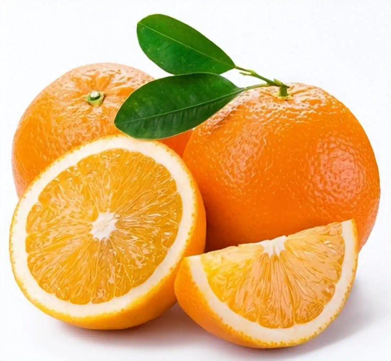 Refrigerated orange plantation technology