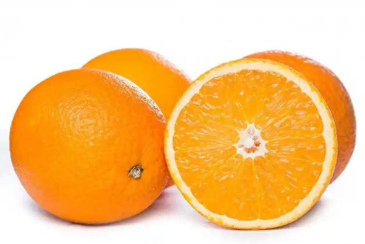 Refrigerated orange plantation technology
