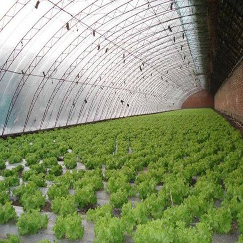 Greenhouse farming techniques