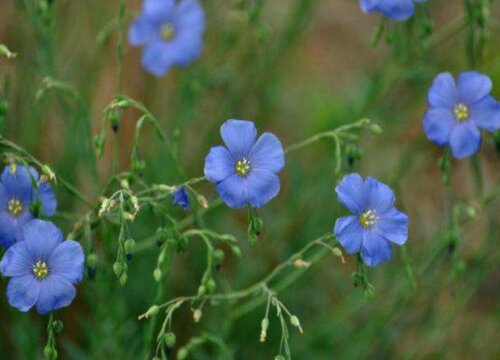 Submerging techniques