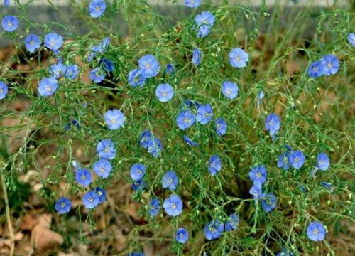 Submerging techniques