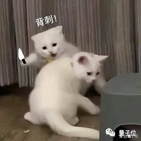 ipad pro出了air2降价