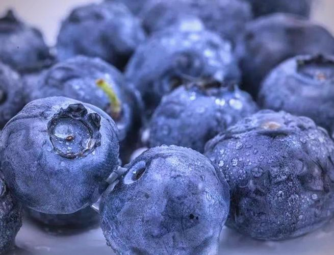 吉林省长岭县可以种植那些果树