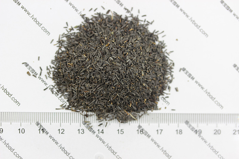 How do you plant herb seeds