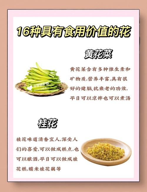 食品知识竞赛试题