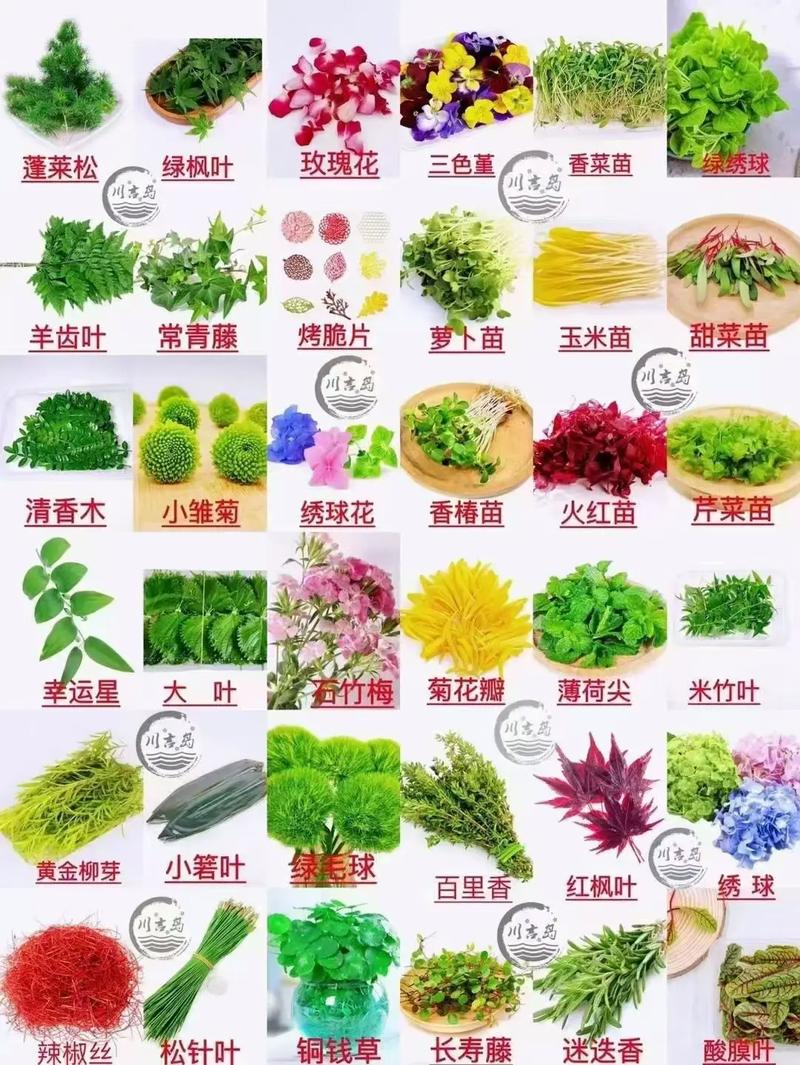 食品知识竞赛试题