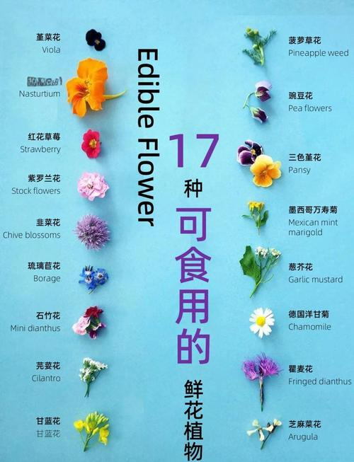 食品知识竞赛试题