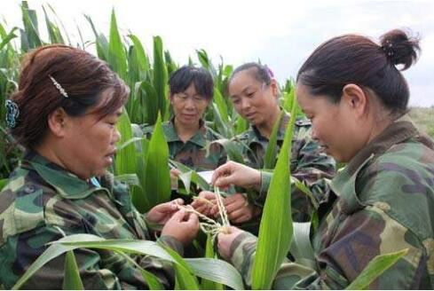 Submerging techniques