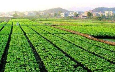 Submerging techniques