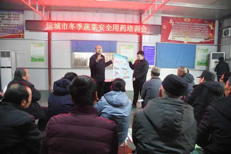 蔬菜种植技术视频