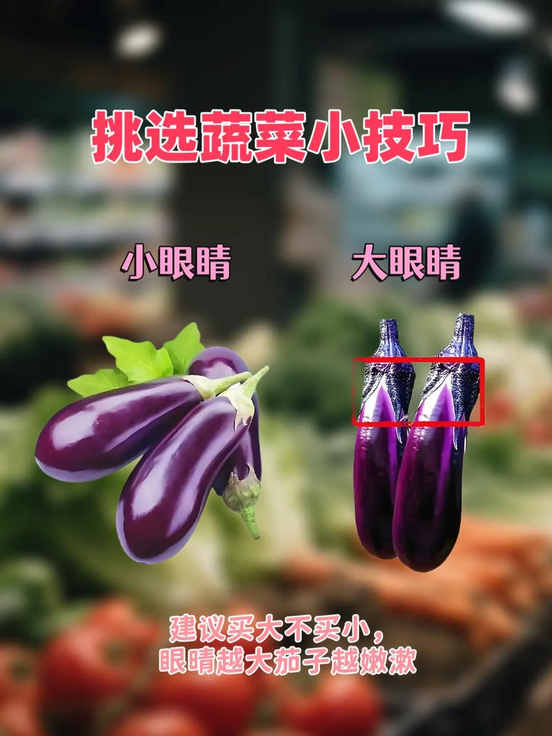绿茄子种植技术