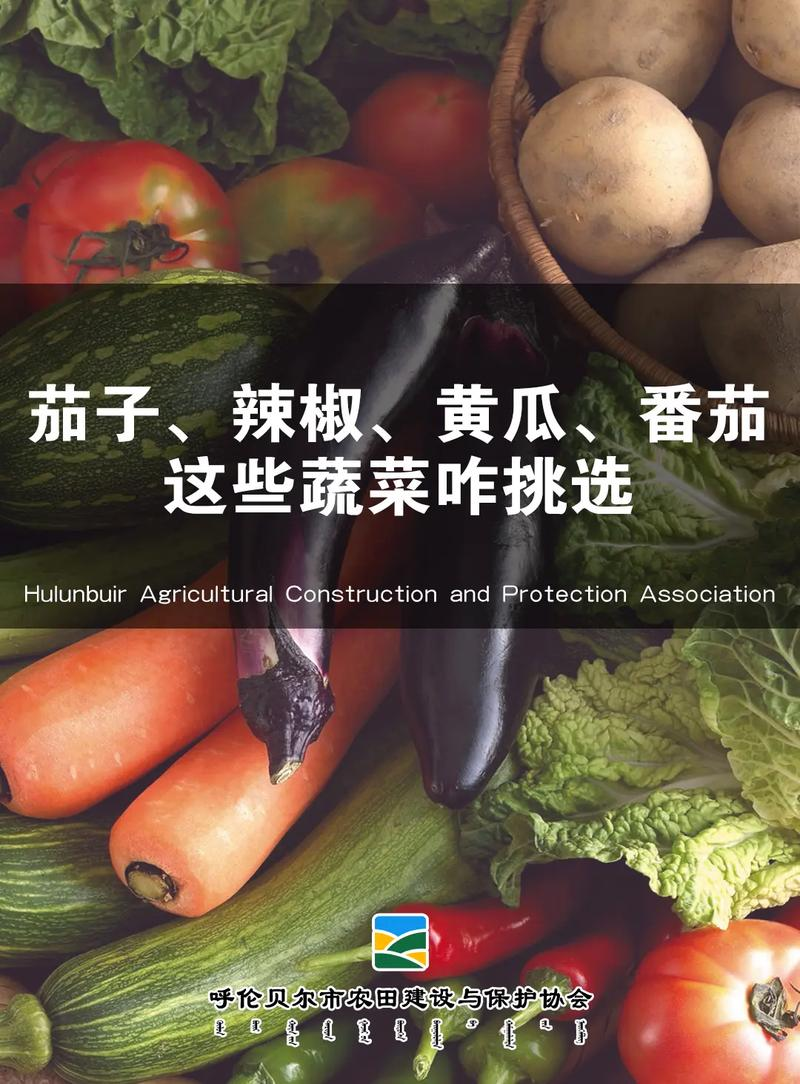 绿茄子种植技术