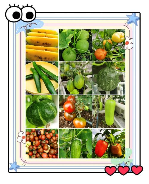 绿茄子种植技术