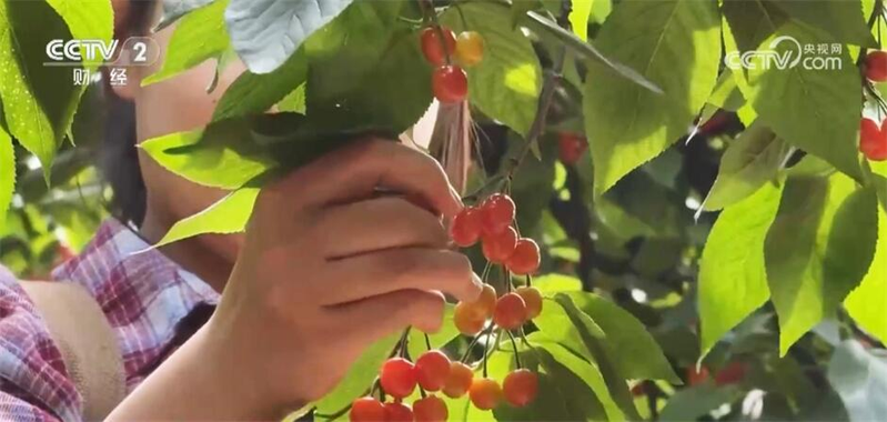 西安景点门票价格