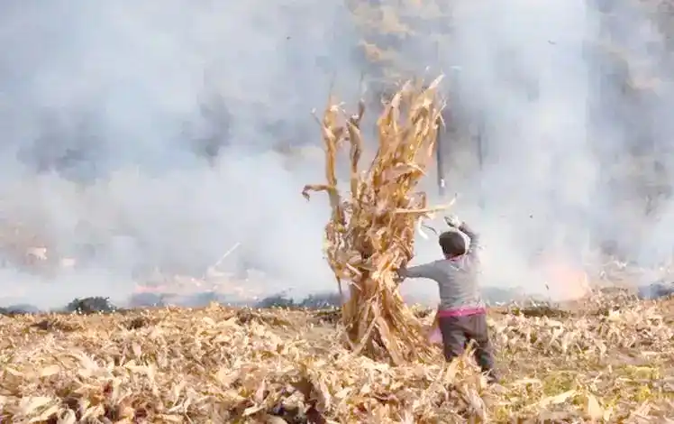雾霾成因的研究