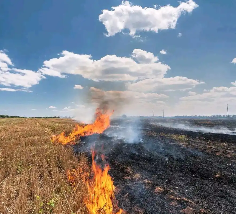 雾霾成因的研究