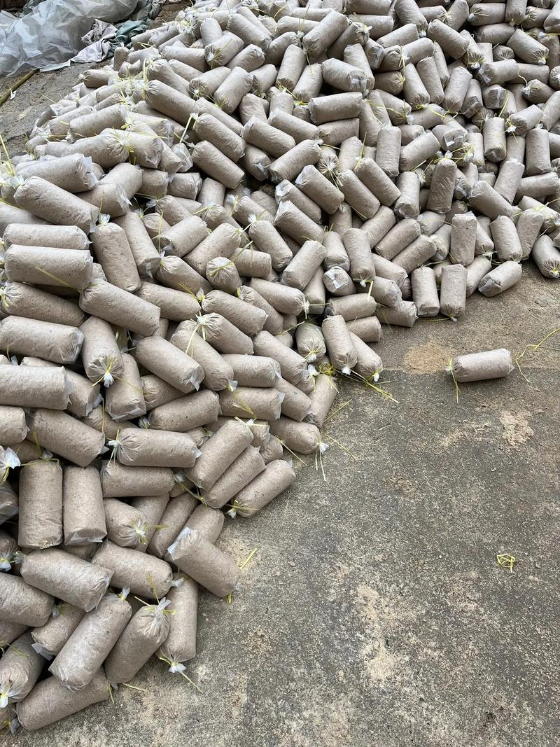 天麻的种植方法