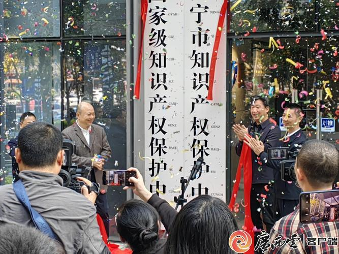 知识产权保护申请