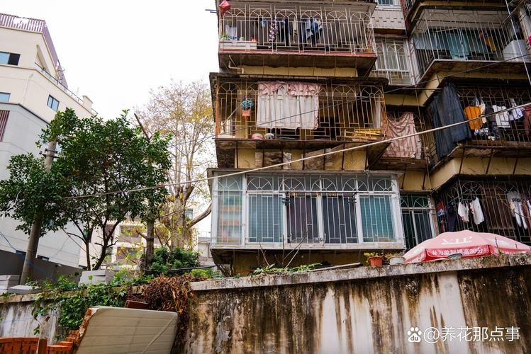 重庆保利观澜房价太贵