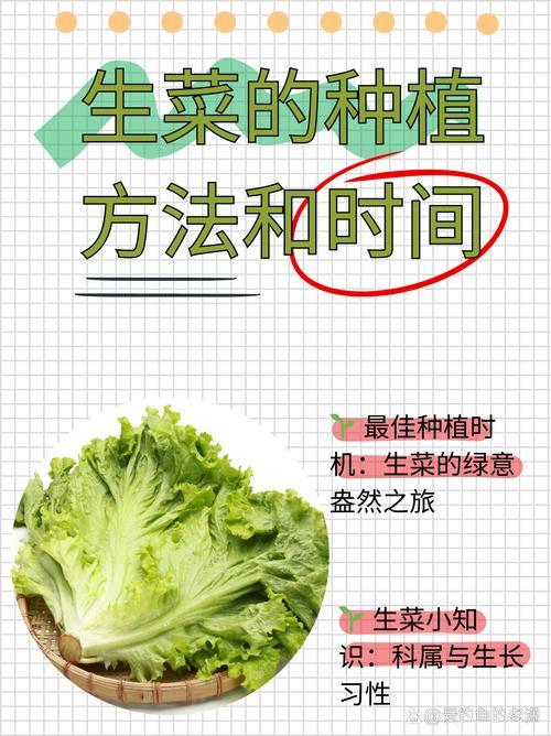 特种蔬菜种植技术