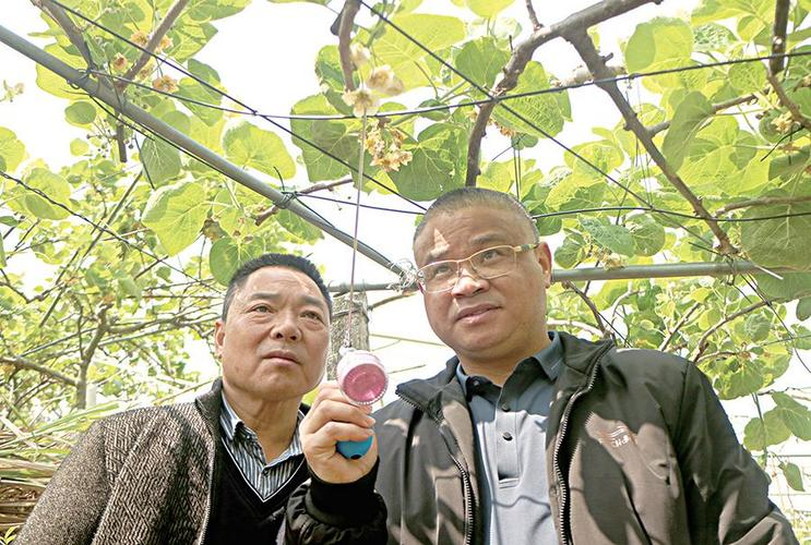 The monkey cultivation technique