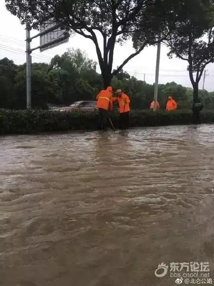 宁波水灾 特点
