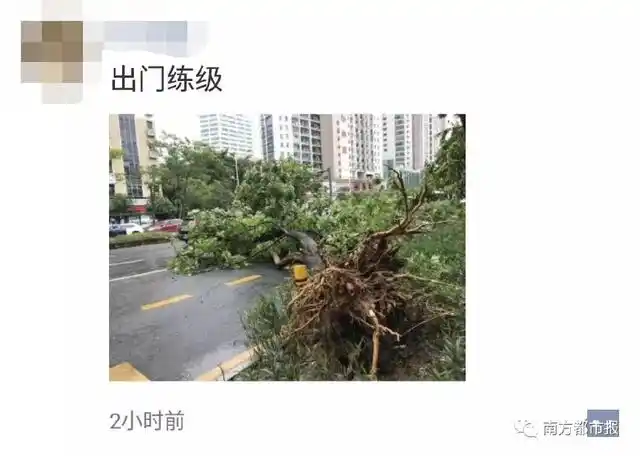 宁波水灾 特点
