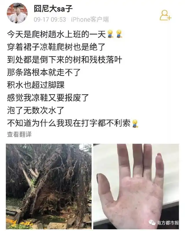 宁波水灾 特点